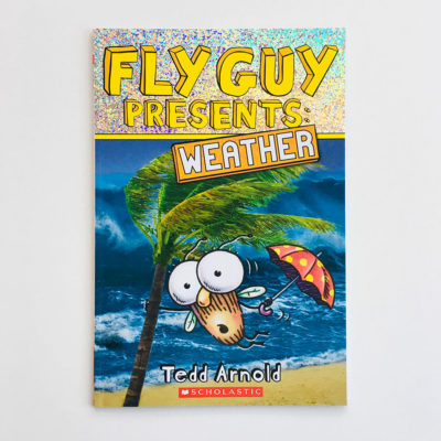 FLY GUY PRESENTS WEATHER
