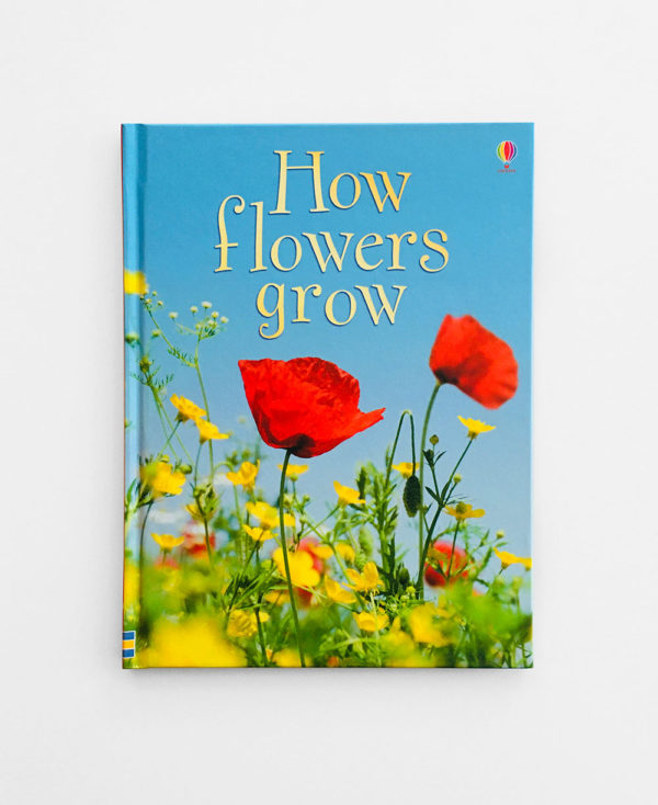 HOW FLOWRERS GROW