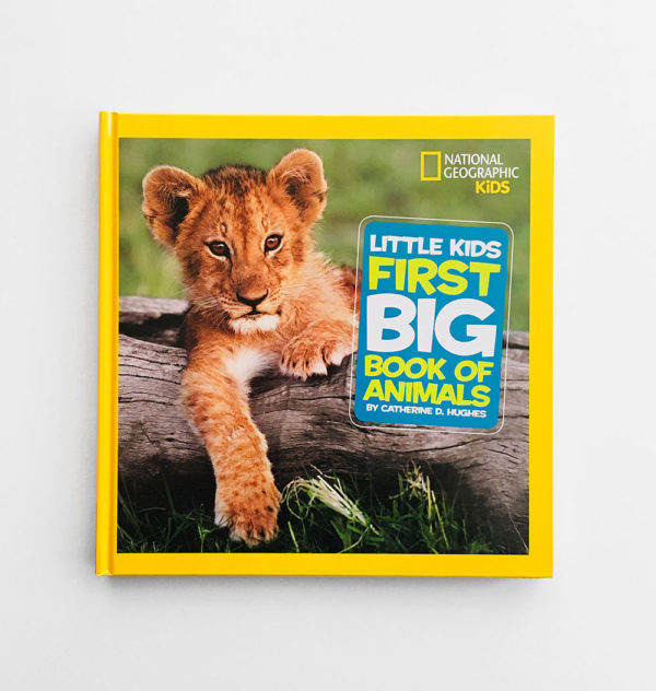 FIRST BIG BOOK OF ANIMALS