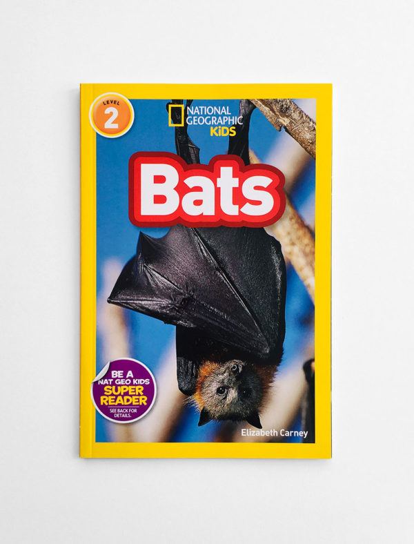NAT GEO #2: BATS