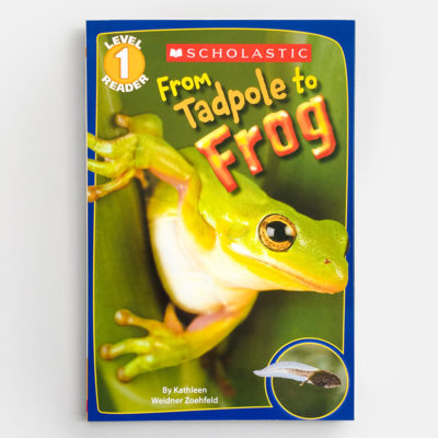 SCHOLASTIC READER #1: FROM TADPOLE TO FROG
